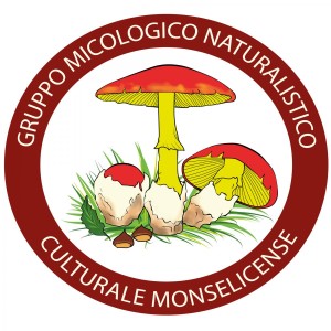 logo_gruppo_Micologico_monselice
