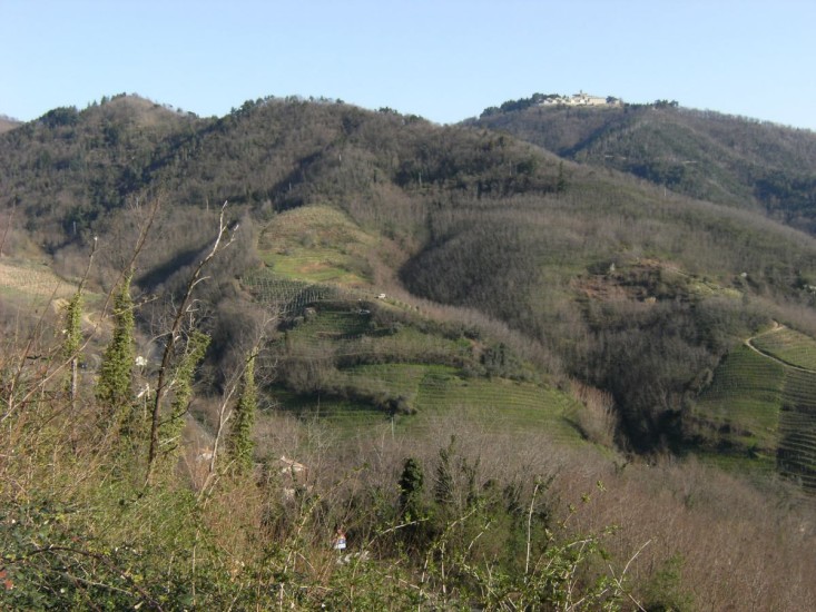 Monte Orsara