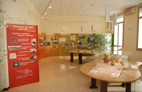 Museo Archeologico Naturalistico dei Colli Euganei