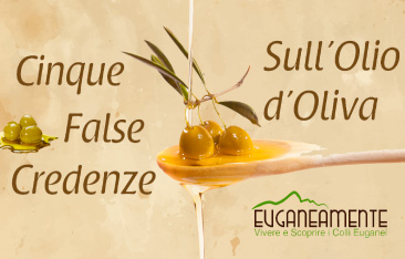 Cinque False Credenze sull’Olio d’Oliva