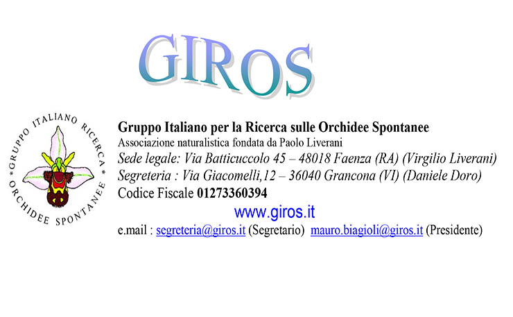 Giros Gruppo Italiano Ricerca sulle Orchidee Spontanee
